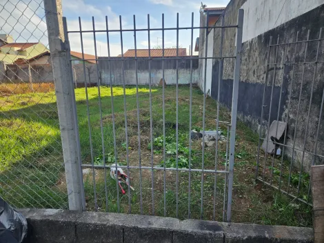 imagem 3 - aluga se terreno av. Mario Friggi imagem 3 - aluga se terreno av. Mario Friggi