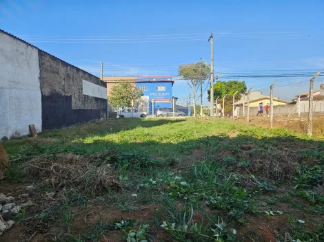 imagem 4 - aluga se terreno av. Mario Friggi imagem 4 - aluga se terreno av. Mario Friggi