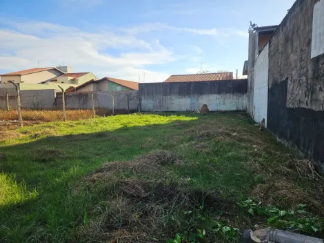 imagem 5 - aluga se terreno av. Mario Friggi imagem 5 - aluga se terreno av. Mario Friggi