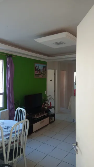 imagem 2 - Apartamento/Padrão - Residencial - No bairro Campos de São José -  CAJURU I imagem 2 - Apartamento/Padrão - Residencial - No bairro Campos de São José -  CAJURU I