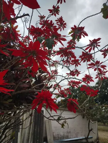 imagem 1 - OPORTUNIDADE imagem 1 - OPORTUNIDADE