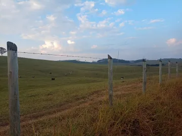 imagem 3 - uma areá para plantio imagem 3 - uma areá para plantio