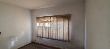 imagem 3 - CASA TERREA 3 QUARTOS(1SUITE) 157M² ÁREA ÚTIL - ZONA NORTE ALTOS DE SANTANA - ESPAÇOSA COM QUINTAL - SALA COM LAREIRA - 3 GARAGENS imagem 3 - CASA TERREA 3 QUARTOS(1SUITE) 157M² ÁREA ÚTIL - ZONA NORTE ALTOS DE SANTANA - ESPAÇOSA COM QUINTAL - SALA COM LAREIRA - 3 GARAGENS