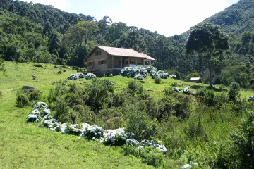 imagem 3 - Belíssimo sítio em Sapucaí Mirim (bairro Juncal) com 3 casas e água em abundância imagem 3 - Belíssimo sítio em Sapucaí Mirim (bairro Juncal) com 3 casas e água em abundância