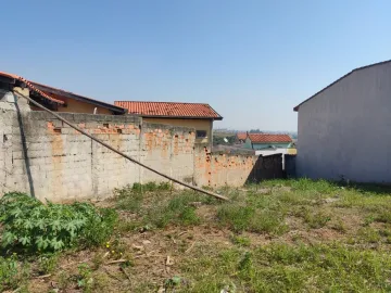 imagem 5 - `Oportunidade Única: Terreno Murado em Borda da Mata para Construção dos Seus Sonhos` imagem 5 - `Oportunidade Única: Terreno Murado em Borda da Mata para Construção dos Seus Sonhos`