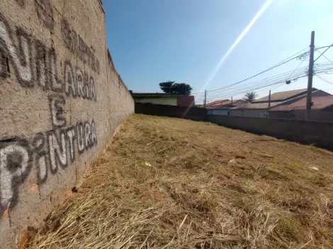 imagem 4 - Terreno de esquina e murado em excelente localização imagem 4 - Terreno de esquina e murado em excelente localização