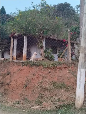 imagem 3 - LINDA CHACARA EM JAMBEIRO, SEU LOCAL DE DESCANSO imagem 3 - LINDA CHACARA EM JAMBEIRO, SEU LOCAL DE DESCANSO