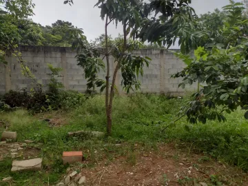 imagem 5 - Chácara no Majestic três casas aproveite essa oportunidade imagem 5 - Chácara no Majestic três casas aproveite essa oportunidade