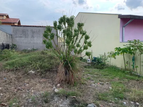 imagem 5 - Terreno - Padrão imagem 5 - Terreno - Padrão