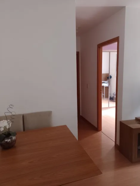 imagem 5 - Apartamento/Padrão - Residencial - No bairro Jardim Sul -  CAMPO DI ROMA imagem 5 - Apartamento/Padrão - Residencial - No bairro Jardim Sul -  CAMPO DI ROMA