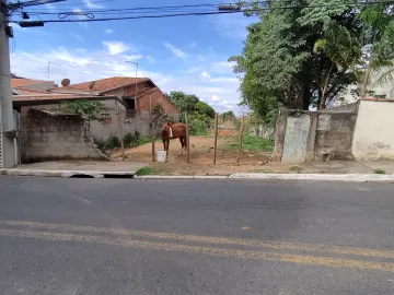 imagem 3 - Terreno no residencial Santa Hermínia próximo da igreja assembleia de Deus imagem 3 - Terreno no residencial Santa Hermínia próximo da igreja assembleia de Deus