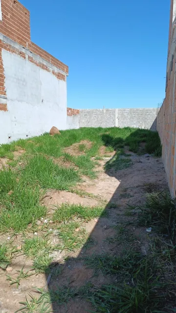 imagem 1 - OPORTUNIDADE Excelente Terreno Plano no Setville Venha Conferir! imagem 1 - OPORTUNIDADE Excelente Terreno Plano no Setville Venha Conferir!
