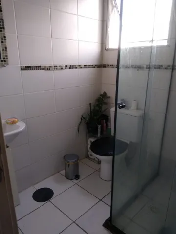 imagem 1 - BAIXOU OPORTUNIDADE 147 MIL - APARTAMENTO COM VISTA LIVRE NO CAJURU I imagem 1 - BAIXOU OPORTUNIDADE 147 MIL - APARTAMENTO COM VISTA LIVRE NO CAJURU I