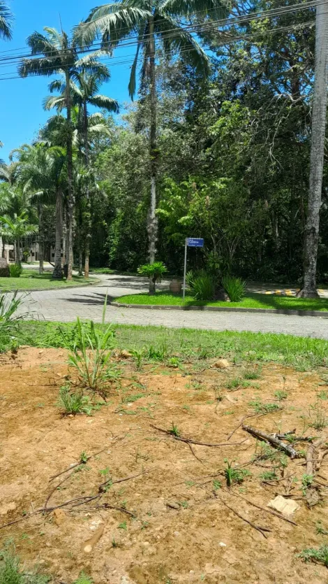 imagem 3 - Terreno Condomínio Park Imperial à Venda Caraguatatuba Massaguaçú imagem 3 - Terreno Condomínio Park Imperial à Venda Caraguatatuba Massaguaçú