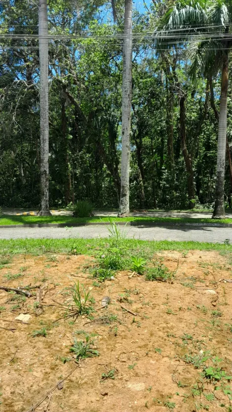 imagem 4 - Terreno Condomínio Park Imperial à Venda Caraguatatuba Massaguaçú imagem 4 - Terreno Condomínio Park Imperial à Venda Caraguatatuba Massaguaçú