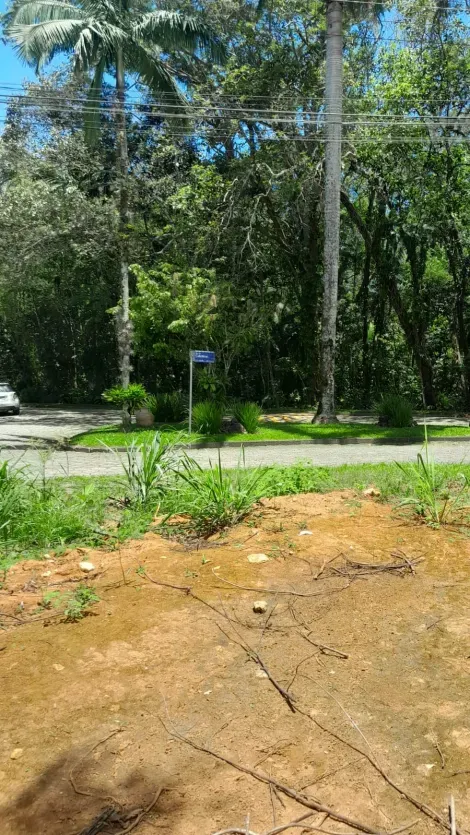 imagem 5 - Terreno Condomínio Park Imperial à Venda Caraguatatuba Massaguaçú imagem 5 - Terreno Condomínio Park Imperial à Venda Caraguatatuba Massaguaçú