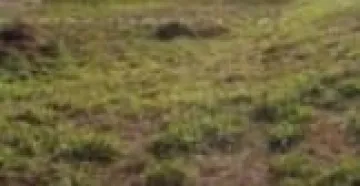 imagem 1 - SURPREENDA-SE COM ESSE EXCELENTE TERRENO PRONTO PARA CONSTRUIR, COM ÓTIMA LOCALIZAÇÃO imagem 1 - SURPREENDA-SE COM ESSE EXCELENTE TERRENO PRONTO PARA CONSTRUIR, COM ÓTIMA LOCALIZAÇÃO