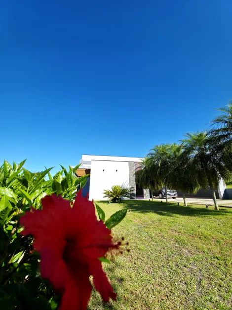 imagem 1 - Um Paraíso de Conforto e Elegância no Altos da Quinta imagem 1 - Um Paraíso de Conforto e Elegância no Altos da Quinta