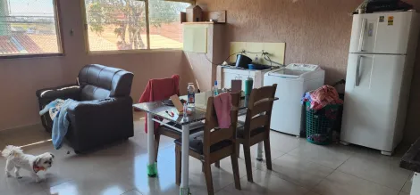 imagem 5 - LINDA CASA NO JARDIM SANTA INÊS I imagem 5 - LINDA CASA NO JARDIM SANTA INÊS I