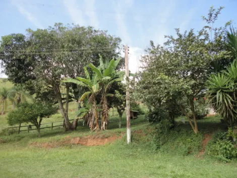 imagem 4 - Rural - Fazenda, Sítio e Chácara imagem 4 - Rural - Fazenda, Sítio e Chácara