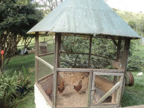 imagem 5 - Rural - Fazenda, Sítio e Chácara imagem 5 - Rural - Fazenda, Sítio e Chácara