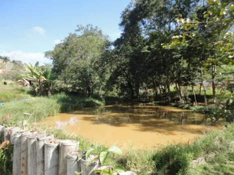 imagem 1 - Rural - Fazenda, Sítio e Chácara imagem 1 - Rural - Fazenda, Sítio e Chácara