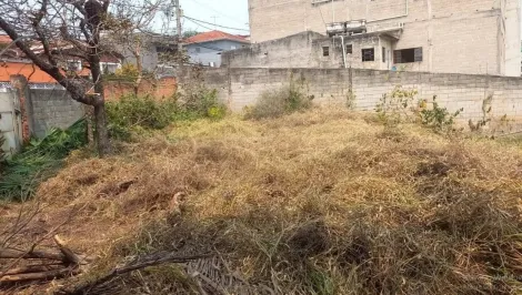 imagem 3 - Comercial - Terreno imagem 3 - Comercial - Terreno