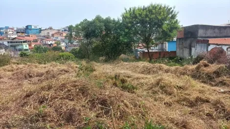 imagem 4 - Comercial - Terreno imagem 4 - Comercial - Terreno