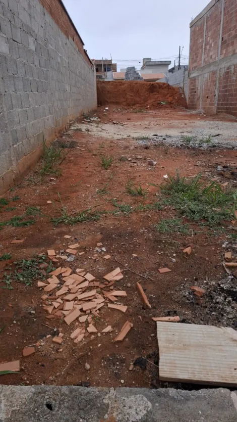 imagem 1 - SETVILLE NA ZONA LESTE imagem 1 - SETVILLE NA ZONA LESTE