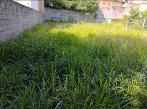 imagem 3 - Terreno - Padrão imagem 3 - Terreno - Padrão