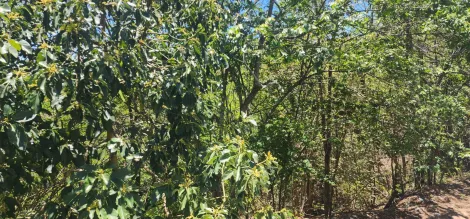 imagem 1 - ÓTIMO TERRENO NA ZONA LESTE imagem 1 - ÓTIMO TERRENO NA ZONA LESTE