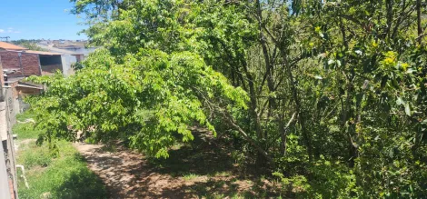 imagem 1 - Excelente oportunidade, em terreno! imagem 1 - Excelente oportunidade, em terreno!