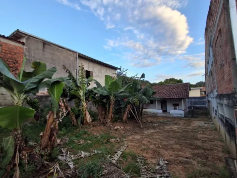 imagem 5 - CASA NA VILA PAIVA ZONA NORTE, BEM PROXIMO DE UMA ESCOLA E PRAÇA, TERRENO PLANO COM 250 METROS, 01 DORMITORIO, SALA, COZINHA, WC, QUINTAL  PLANO GRANDE COM ARVORES FRUTIFERAS imagem 5 - CASA NA VILA PAIVA ZONA NORTE, BEM PROXIMO DE UMA ESCOLA E PRAÇA, TERRENO PLANO COM 250 METROS, 01 DORMITORIO, SALA, COZINHA, WC, QUINTAL  PLANO GRANDE COM ARVORES FRUTIFERAS