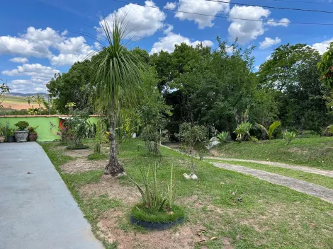 imagem 3 - LINDA CHÁCARA COM CASAS NO BOM RETIRO!!! imagem 3 - LINDA CHÁCARA COM CASAS NO BOM RETIRO!!!