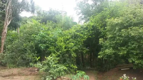 imagem 5 - Rural - Fazenda, Sítio e Chácara imagem 5 - Rural - Fazenda, Sítio e Chácara