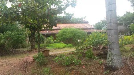 imagem 3 - Rural - Fazenda, Sítio e Chácara imagem 3 - Rural - Fazenda, Sítio e Chácara