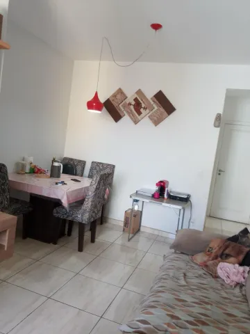 imagem 5 - Apartamento no Jardim America Proximo do supermercado cooper imagem 5 - Apartamento no Jardim America Proximo do supermercado cooper