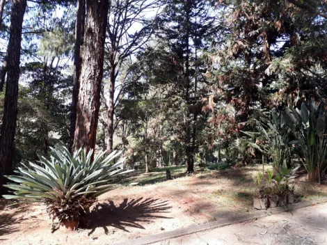 imagem 5 - AREA INDUSTRIAL AO LADO DA RODOVIA CARVALHO PINTO imagem 5 - AREA INDUSTRIAL AO LADO DA RODOVIA CARVALHO PINTO