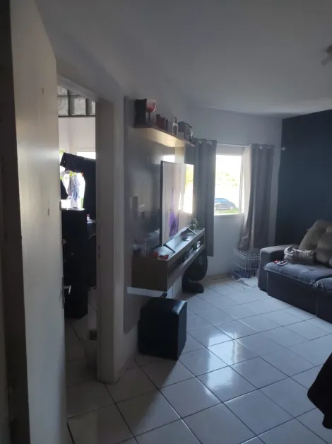 imagem 4 - Apartamento - Padrão imagem 4 - Apartamento - Padrão