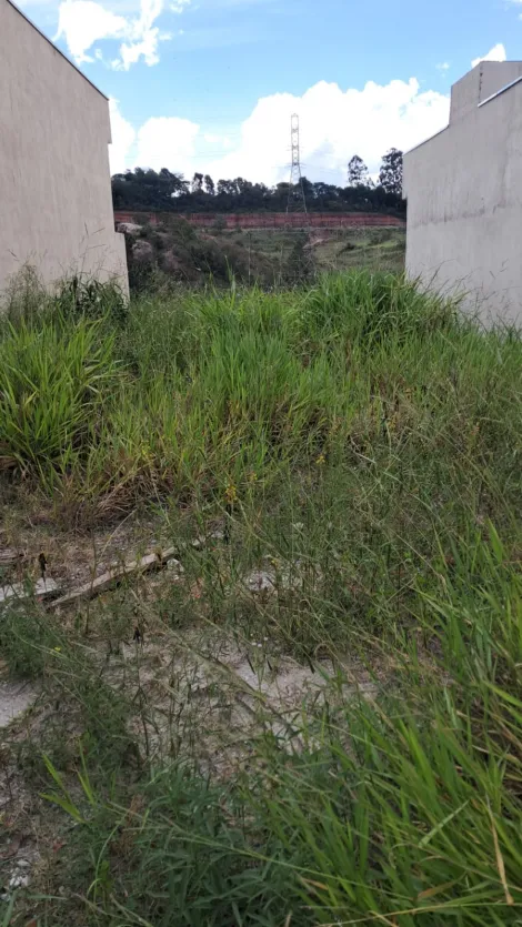 imagem 2 - Lote com vista para área verde imagem 2 - Lote com vista para área verde