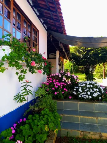 imagem 4 - Deslumbrante chácara com casa aconchegante com pomar formado imagem 4 - Deslumbrante chácara com casa aconchegante com pomar formado