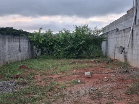 imagem 1 - TERRENO PLANO NO BAIRRO SETVILLE, COM MUROS DE BLOCOS DE CIMENTO E MURO DE ARRIMO, PORTÃO E CALÇADA, ARVORES FRUTIFERAS imagem 1 - TERRENO PLANO NO BAIRRO SETVILLE, COM MUROS DE BLOCOS DE CIMENTO E MURO DE ARRIMO, PORTÃO E CALÇADA, ARVORES FRUTIFERAS