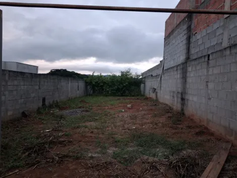 imagem 3 - TERRENO PLANO NO BAIRRO SETVILLE, COM MUROS DE BLOCOS DE CIMENTO E MURO DE ARRIMO, PORTÃO E CALÇADA, ARVORES FRUTIFERAS imagem 3 - TERRENO PLANO NO BAIRRO SETVILLE, COM MUROS DE BLOCOS DE CIMENTO E MURO DE ARRIMO, PORTÃO E CALÇADA, ARVORES FRUTIFERAS