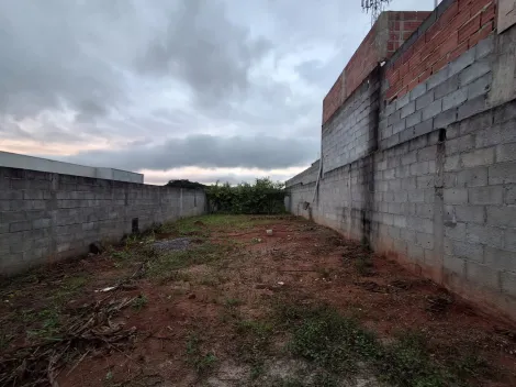 imagem 5 - TERRENO PLANO NO BAIRRO SETVILLE, COM MUROS DE BLOCOS DE CIMENTO E MURO DE ARRIMO, PORTÃO E CALÇADA, ARVORES FRUTIFERAS imagem 5 - TERRENO PLANO NO BAIRRO SETVILLE, COM MUROS DE BLOCOS DE CIMENTO E MURO DE ARRIMO, PORTÃO E CALÇADA, ARVORES FRUTIFERAS