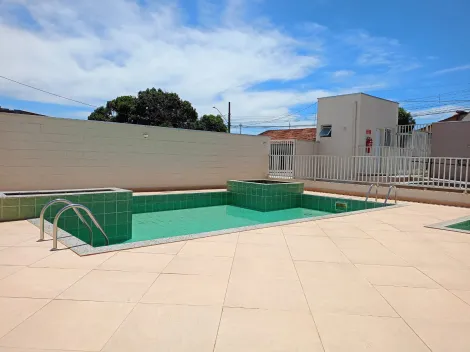 imagem 2 - LINDO APARTAMENTO imagem 2 - LINDO APARTAMENTO