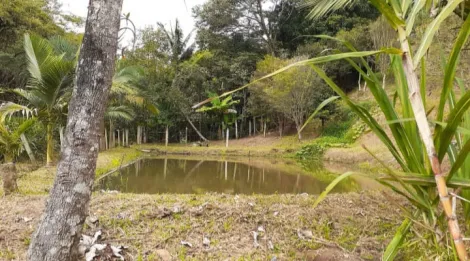 imagem 1 - Rural - Fazenda, Sítio e Chácara imagem 1 - Rural - Fazenda, Sítio e Chácara