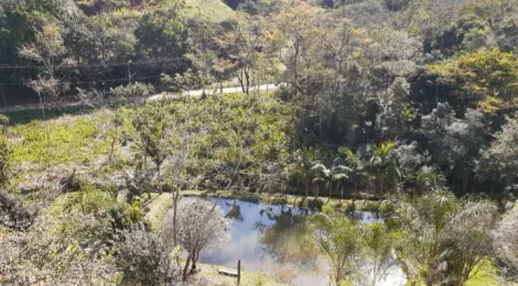 imagem 3 - Rural - Fazenda, Sítio e Chácara imagem 3 - Rural - Fazenda, Sítio e Chácara