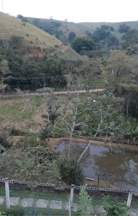 imagem 4 - Rural - Fazenda, Sítio e Chácara imagem 4 - Rural - Fazenda, Sítio e Chácara