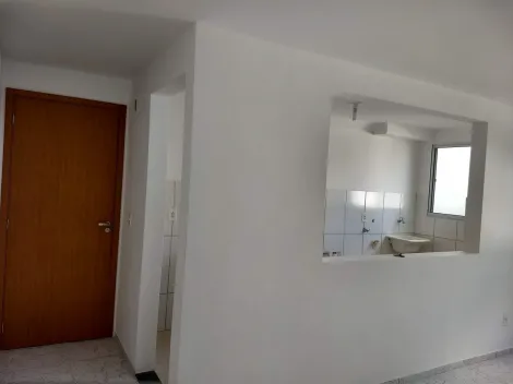 imagem 4 - LINDO APATRAMENTO NO JARDIM ISMENIA, PRÓXIMO A TUDO QUE VOCE PRECISA imagem 4 - LINDO APATRAMENTO NO JARDIM ISMENIA, PRÓXIMO A TUDO QUE VOCE PRECISA