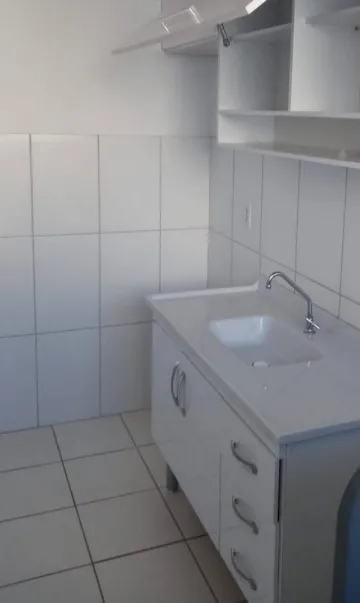 imagem 1 - Apartamento Spazio Campo DI Bragança no Parque Industrial com 2 quartos imagem 1 - Apartamento Spazio Campo DI Bragança no Parque Industrial com 2 quartos
